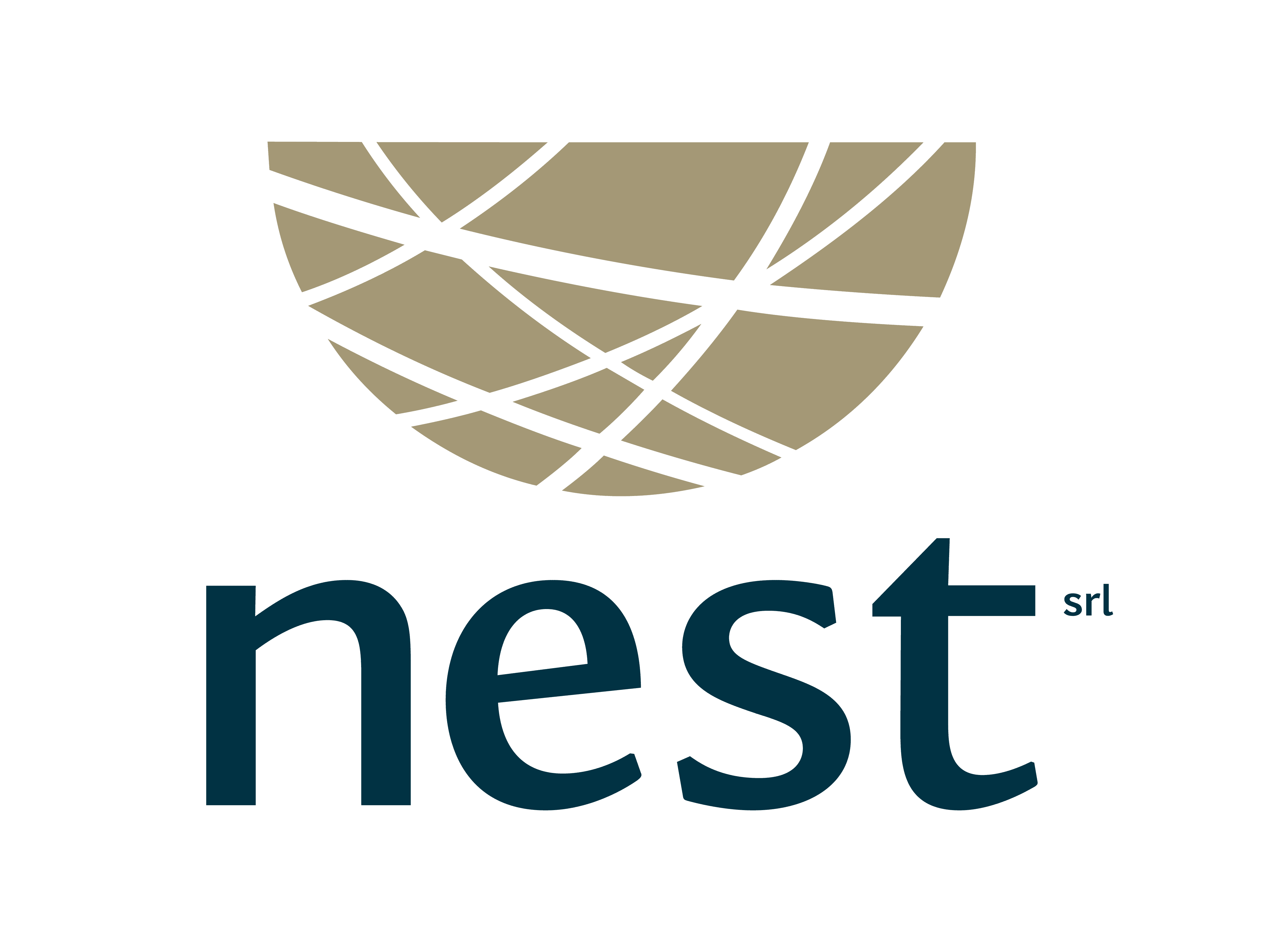 logo partner_nest_tr