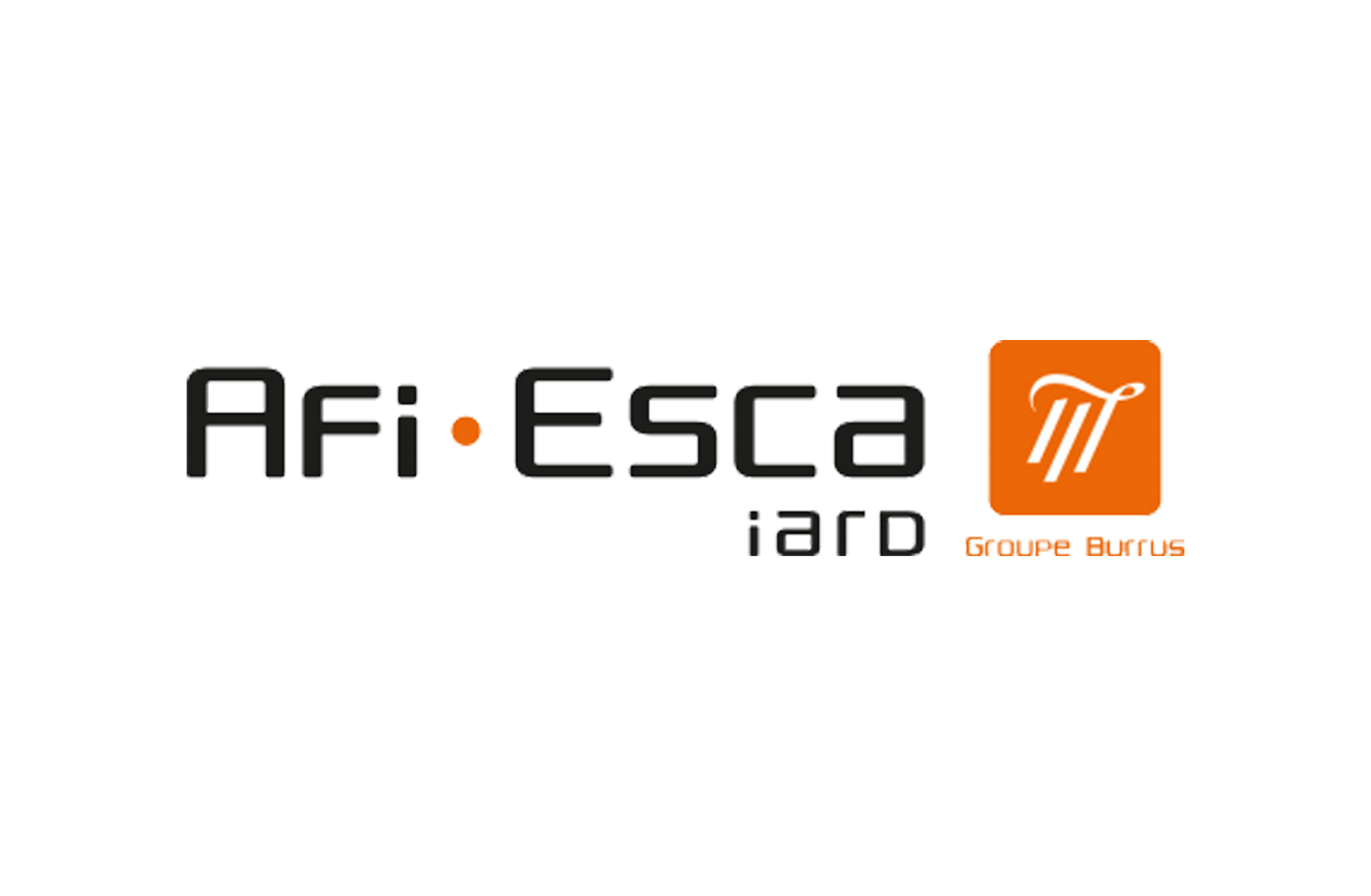 logo partner_afiesca